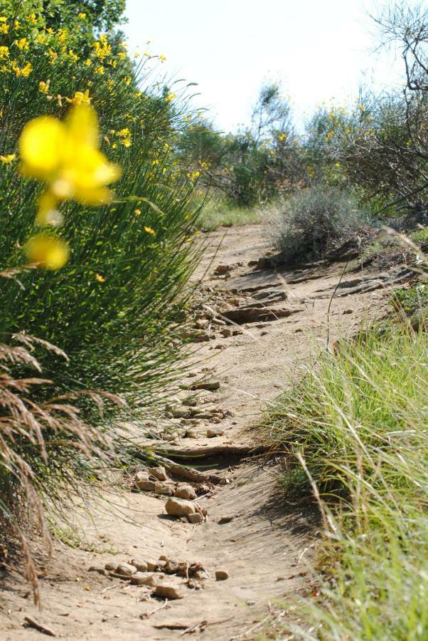 הוילה סאסו מרקוני Agriturismo Piccola Raieda מראה חיצוני תמונה