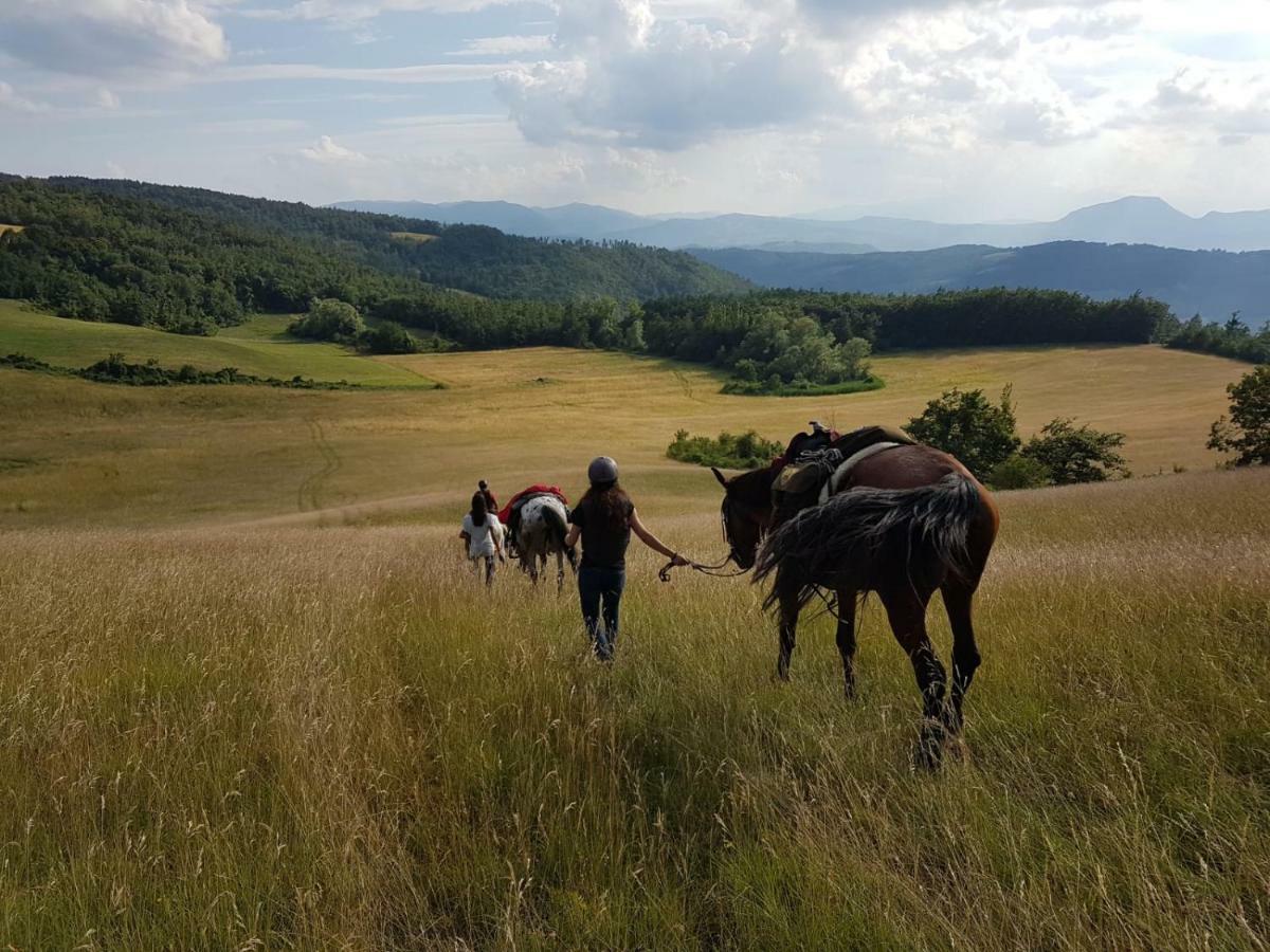 הוילה סאסו מרקוני Agriturismo Piccola Raieda מראה חיצוני תמונה