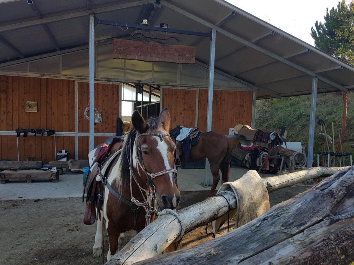 הוילה סאסו מרקוני Agriturismo Piccola Raieda מראה חיצוני תמונה