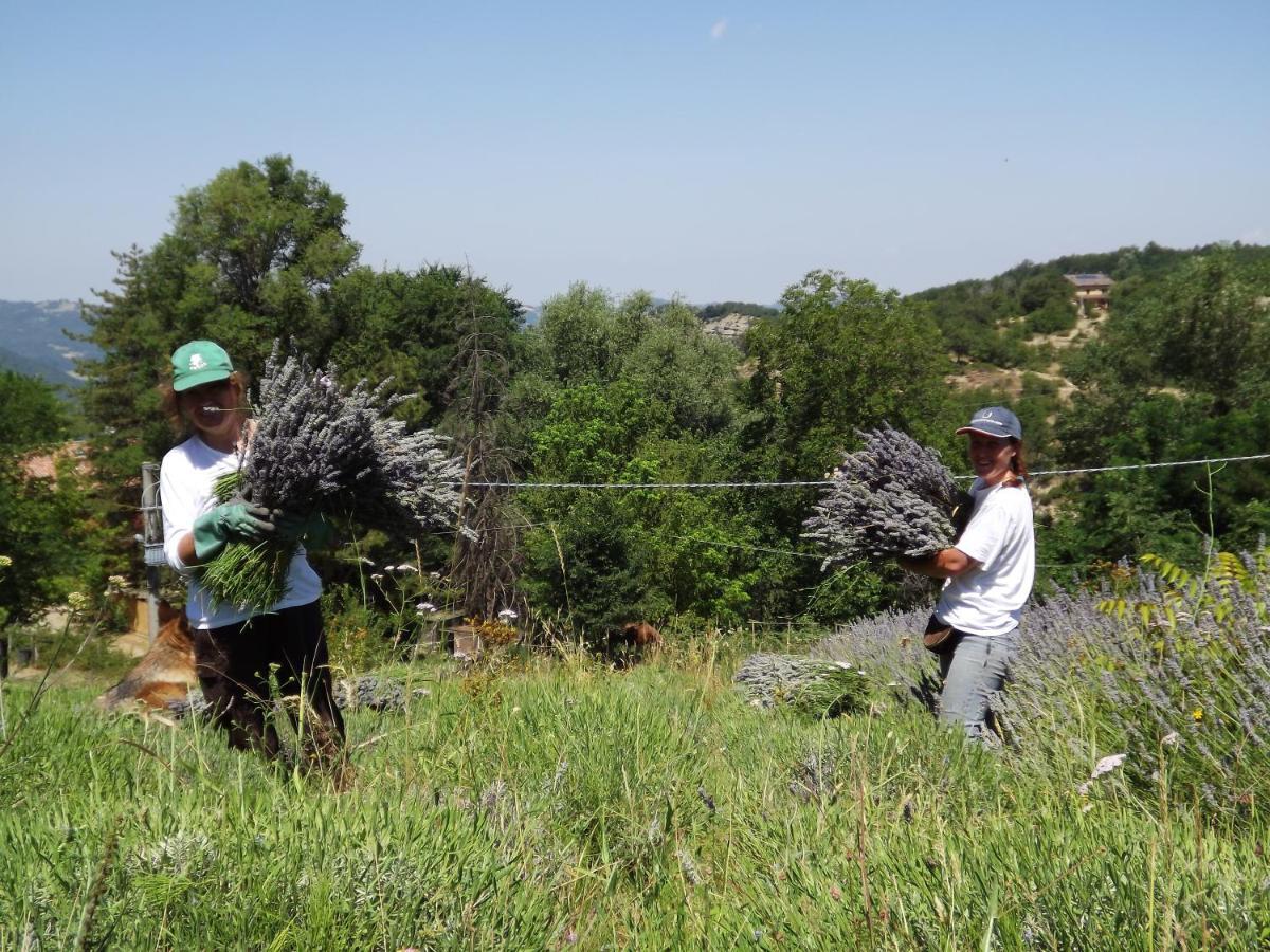 הוילה סאסו מרקוני Agriturismo Piccola Raieda מראה חיצוני תמונה